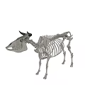 modern skeleton cow skeleton 3d model