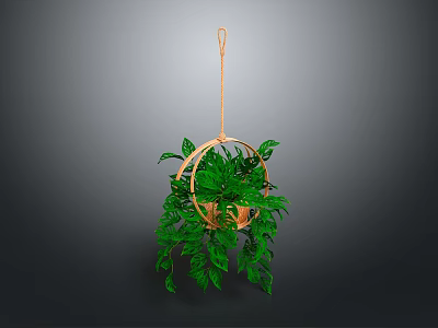 Lush Green Hanging Plant In Wicker Basket With Wooden Hanger And Trailing Leaves 3d model