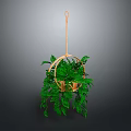 Lush Green Hanging Plant In Wicker Basket With Wooden Hanger And Trailing Leaves