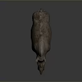 Realistic 3D Rhino Model With Rough Skin Texture Standing On Gray Background