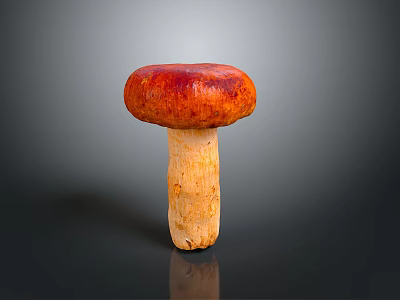 Fresh Edible Mushroom With Red Brown Cap And Light Beige Stem On Dark Glossy Surface 3d model