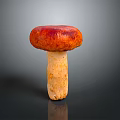 Fresh Edible Mushroom With Red Brown Cap And Light Beige Stem On Dark Glossy Surface