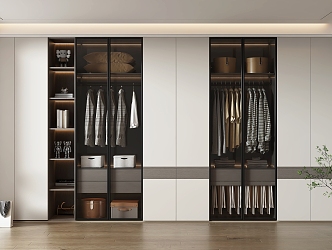 Modern Wardrobe Home Wardrobe 3d model