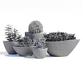 Decorative Bonsai Potted Plants With Various Colored Pots Green Foliage And Different Shapes