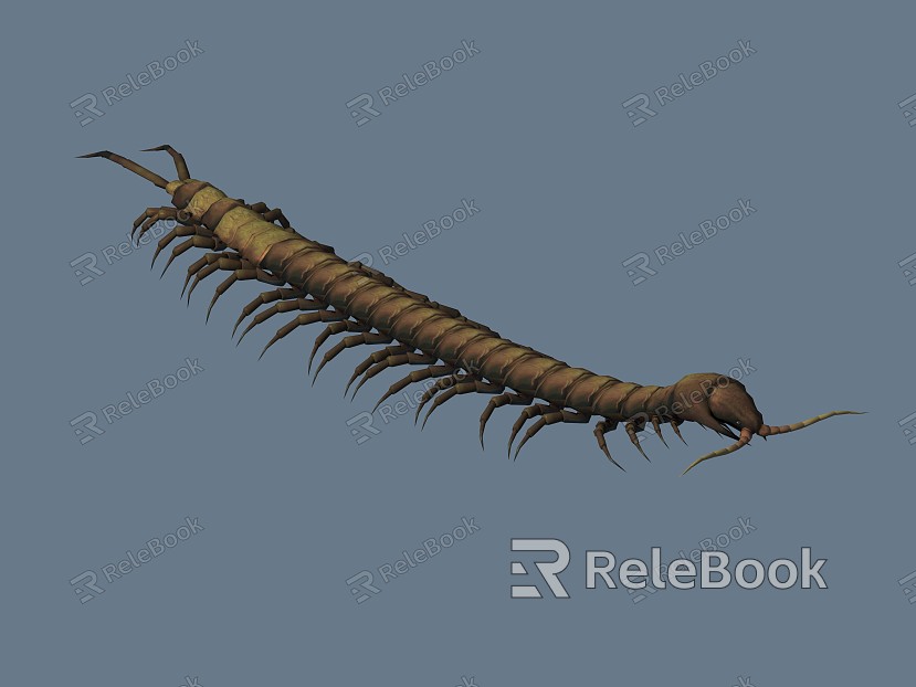 Modern centipede model