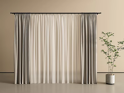 Modern Layered Curtains With Beige Sheer And Gray Panels Near Potted Plant 3d model