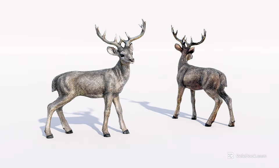 Realistic Reptile 3D Models Displaying Front And Back Views On White Background 3d model