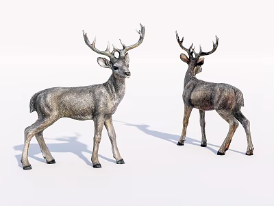 Realistic Reptile 3D Models Displaying Front And Back Views On White Background 3d model