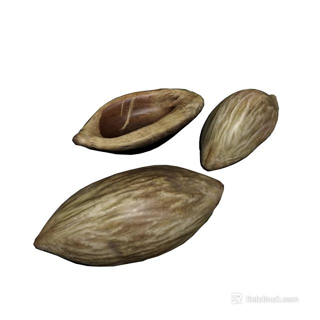 Natural Almond Plant Seeds With Opened One Showing Inner Kernel Close Up View 3d model 