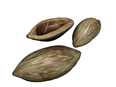 Natural Almond Plant Seeds With Opened One Showing Inner Kernel Close Up View 3d model