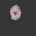 Anime Girl With Pink Hair In Black Dress Standing On Cherry Blossom Petals