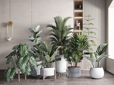 Modern potted plants 3d model