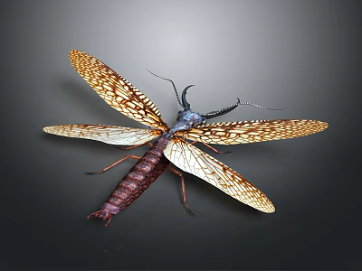 Detailed Insect With Patterned Wings Long Antennae And Brownish Purple Body 3d model