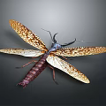 Detailed Insect With Patterned Wings Long Antennae And Brownish Purple Body
