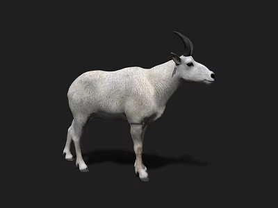 goat mammal livestock livestock sheep 3d model goat mammal livestock livestock sheep 3d model