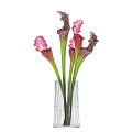 Transparent Striped Vases With Unique Pink Green White Decorative Flower Arrangement