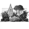 Garden Ornament Landscaping With Various Green Plants Trees Stones And Decorative Foliage