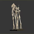 Medical Device Animal Skeleton Model for Veterinary Anatomy Educational Teaching Tool