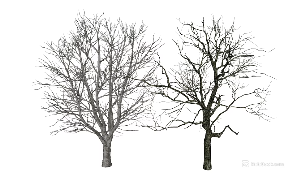 Two Tall Bare Trees With Leafless Branches And Natural Trunk Structure 3d model 