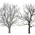 Modern Dead Tree 3d model