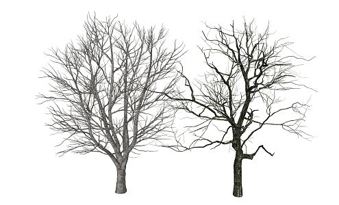 Modern Dead Tree 3d model