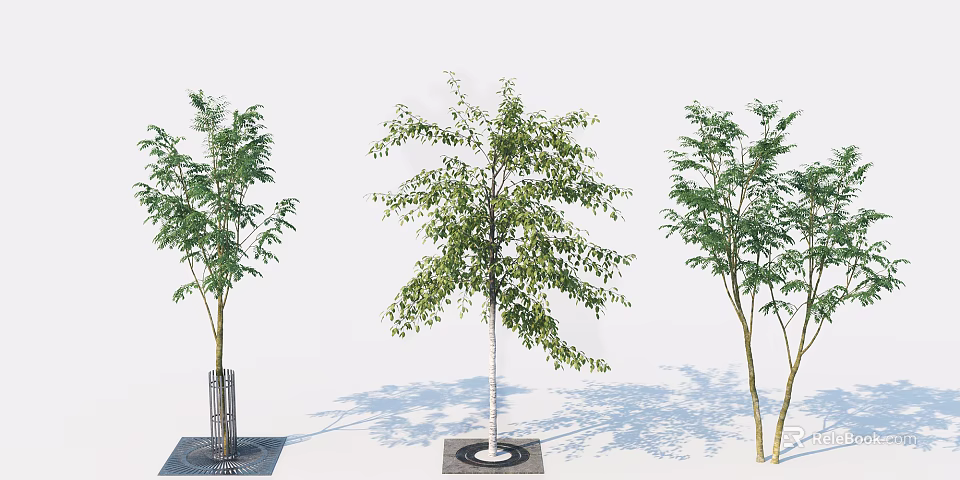 Different Varieties of Arbor Trees with Unique Trunk Colors Leaf Shapes and Square Bases 3d model 