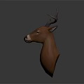 Realistic Deer Head Mount With Large Antlers And Detailed Facial Features
