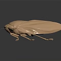 Golden Flying Cicada With Geometric Textured Shiny Surface On Dark Background With Reflection 3d model