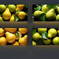 Decorative Fruit Wall Hanging Featuring Green Yellow Pears With Leaves And Water Droplets