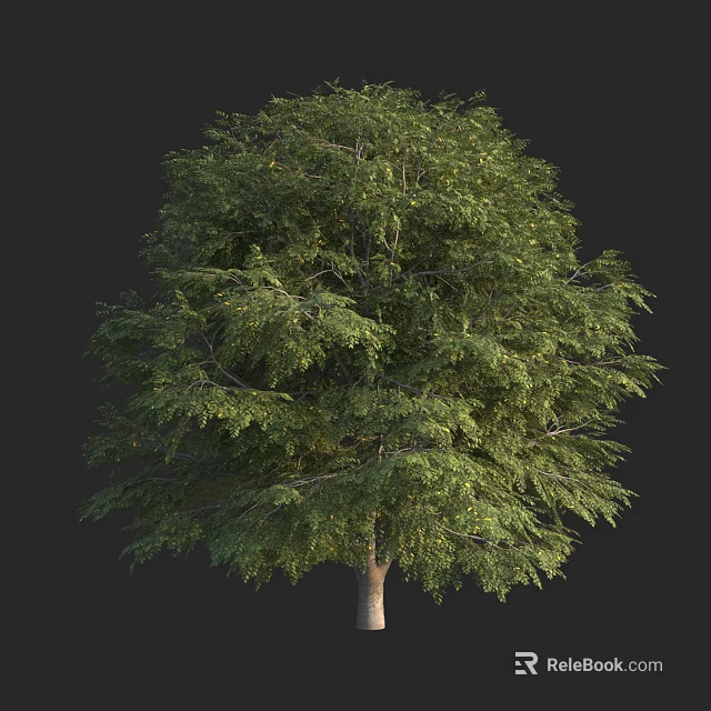 Arbor With Lush Green Foliage And Strong Trunk In Natural Growth Form 3d model 