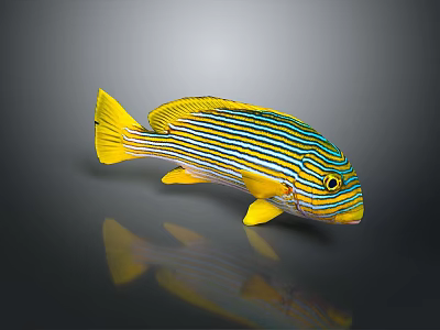 Vibrant Tropical Fish With Yellow And Blue Stripes Yellow Fins And Tail 3d model