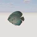 Vibrant Striped Discus Fish With Red Eyes Swimming In Dark Water