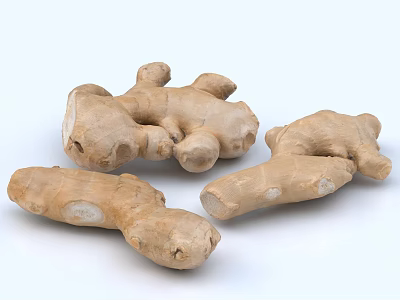 Fresh Organic Raw Ginger Root on White Background in Close Up View 3d model