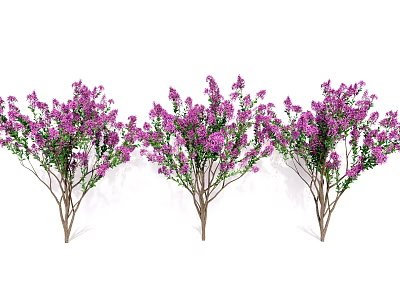 Lush Blooming Purple Flower Bushes With Green Leaves For Garden Decor 3d model