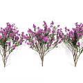 Lush Blooming Purple Flower Bushes With Green Leaves For Garden Decor