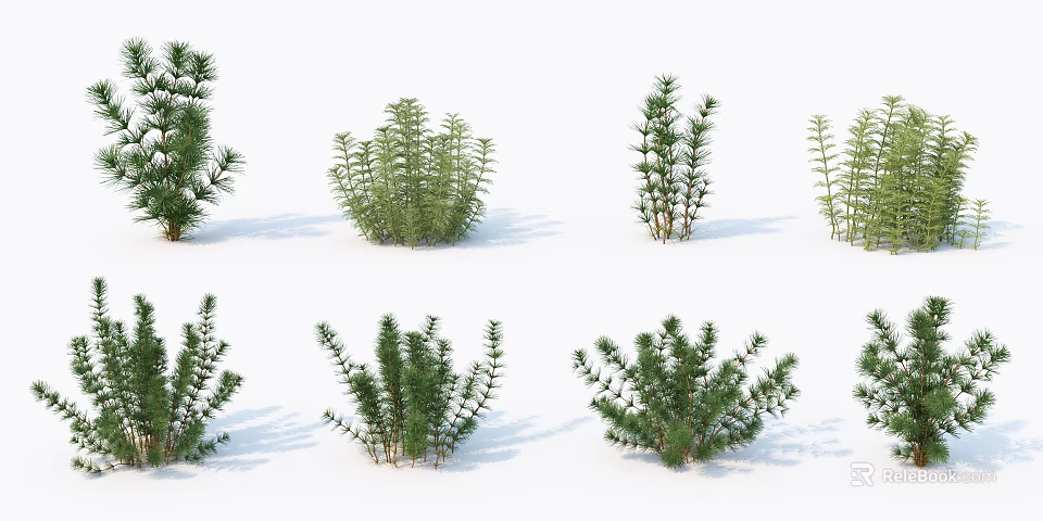Various Green Shrubs with Different Shapes and Foliage on White Background 3d model