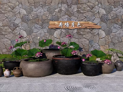 Beautiful Garden Ornaments With Lotus Plants Ceramic Pots Stone Wall And Wooden Sign 3d model
