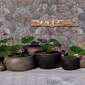 Beautiful Garden Ornaments With Lotus Plants Ceramic Pots Stone Wall And Wooden Sign