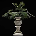 Lush Green Palm Plant In Decorative Ornate Planter With Square Base