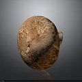 Brown Mushroom With Textured Cap On Gray Background And Glossy Surface View 3d model