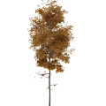Golden Yellow Autumn Leaf Decorative Tree Ornament Combination Set For Home Decor