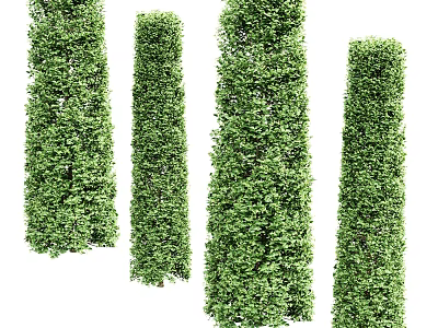 Tall Green Bush Columns With Lush Foliage For Outdoor Garden Landscaping 3d model