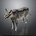 Realistic Striped Tabby Cat Standing Gracefully On Dark Background With Reflection