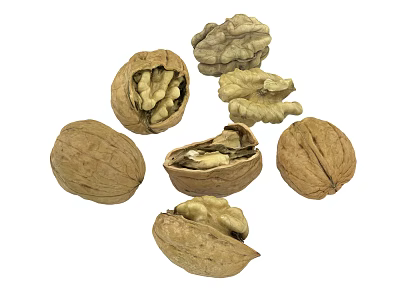 Natural Whole Walnuts And Shelled Walnut Kernels Displayed On White Background 3d model