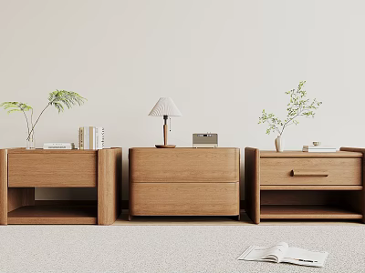 Modern Wooden Bedside Tables with Plants Lamp Books and Radio in Minimalist Bedroom Setting 3d model
