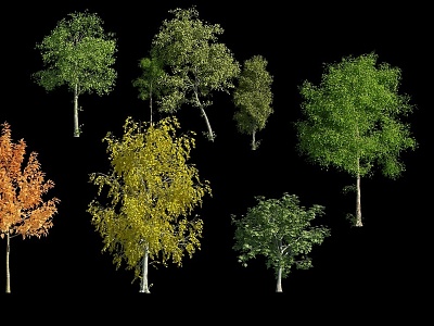 Tree Landscape Trees Tall Trees Tall Trees Landscape Plants Plant Trees Combination Flower Trees 3d model