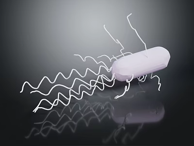 Purple Organ With White Hair like Structures On Dark Background With Reflection 3d model