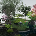 Rockery Stones in Serene Garden with Pond Waterfall Cherry Blossom Trees and Wooden Bridge