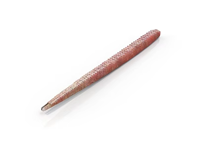 Artistic Handcrafted Red Long Sculpture With Intricate Textured Surface Design 3d model