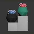 Colorful Succulent Plants in Geometric Pots on White Cube Bases with Dark Background